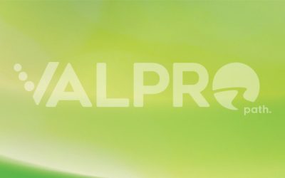 ‘VALPRO Path’ project receives €9.7 million in funding to deliver new added-value opportunities to support EU plant protein production