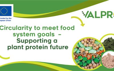 Unleashing the Potential for a Plant Protein Revolution