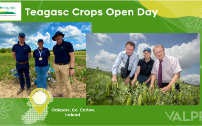 Transforming Agriculture: Minister McConalogue Explores VALPRO Path Project at Teagasc Crops Open Day