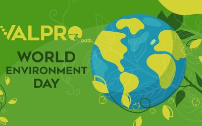 Celebrate World Environment Day everyday with VALPRO Path!  – A planetary and protein saviour in action! 🌍✨