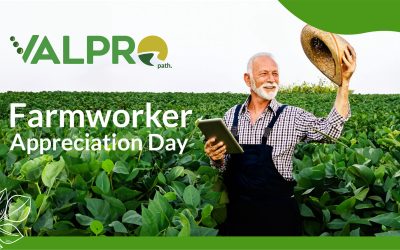 Celebrating the Hands and the Heart of Our Fields: Farmworker Appreciation Day