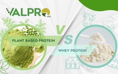 Plant based protein, whey protein – the key is diversity!