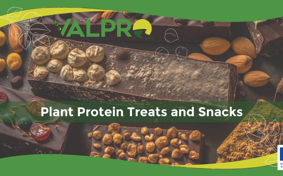 From Faba Bean Chocolate to Chickpea Brownies – Everything Is Possible with Plant-Proteins!