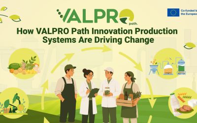 Building Stronger Plant Protein Value Chains: How Innovation Production Systems Are Driving Change