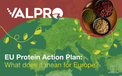 Europe’s New Protein Plan: What It Means for Farmers, Food and the Future of European Agriculture