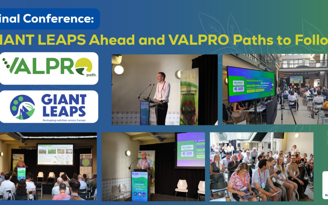 VALPRO Path & GIANT LEAPS Demonstrate How European Protein Crops Can Drive More Sustainable Food Systems