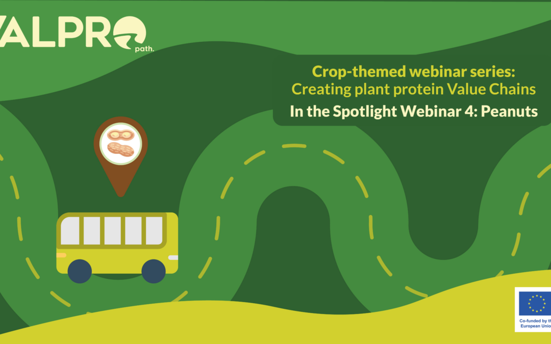 Webinar