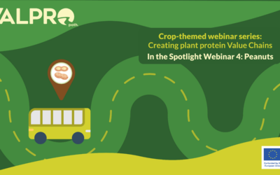 VALPRO Path Webinar to Explore Opportunities for Building Sustainable Peanut Value Chains in Europe