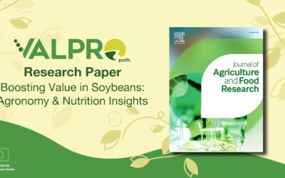 New VALPRO Path Research Paper Explores Low-Raffinose Soybeans for Added-Value Applications