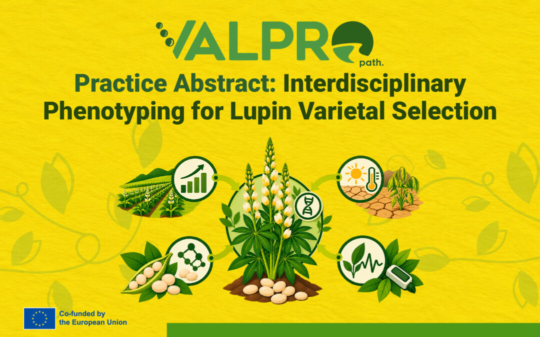 VALPRO Path Practice Abstract: Interdisciplinary Phenotyping for Lupin Varietal Selection