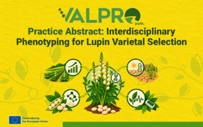 VALPRO Path Practice Abstract: Interdisciplinary Phenotyping for Lupin Varietal Selection