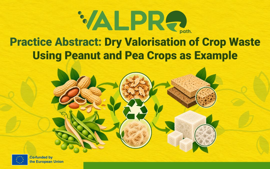 VALPRO Path Practice Abstract: Transforming Peanut Shells and Pea Pods into Sustainable Materials